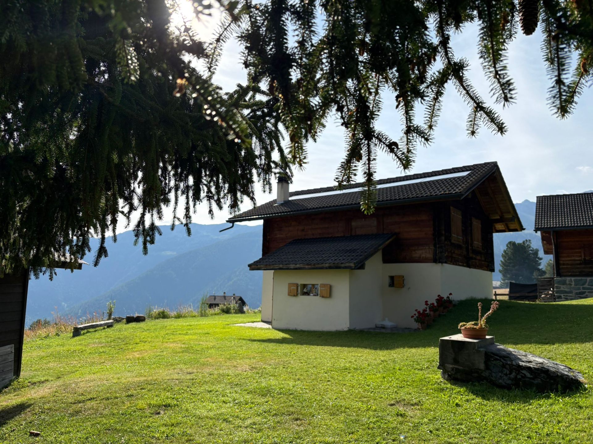 Le chalet baigné de soleil entre les sapins